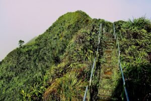 Photo Benefits ladder